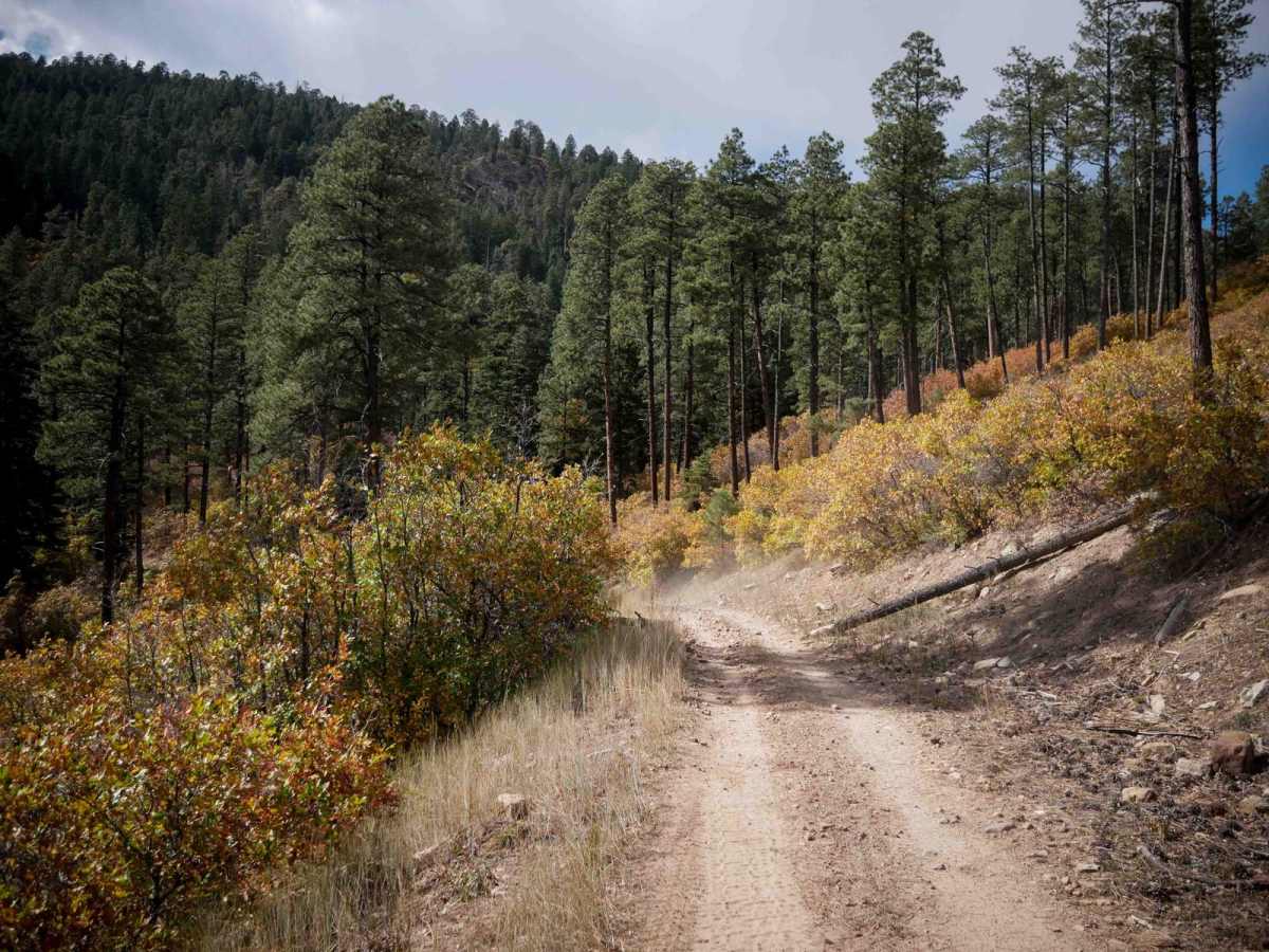 Snow Ranch C trail photo