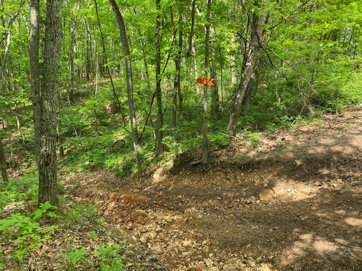 Horseshoe photo 3