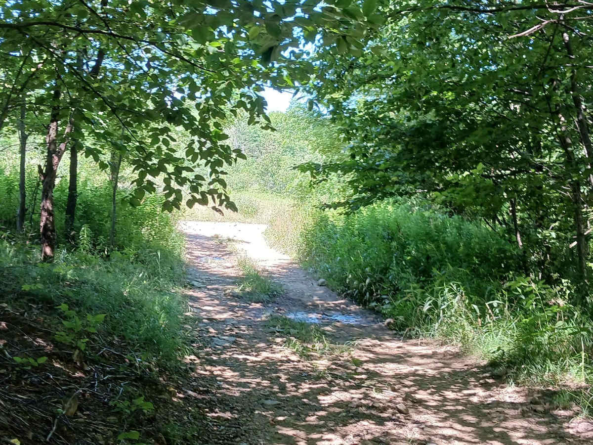 Trail 14A - Rock Run Recreation Area photo 2