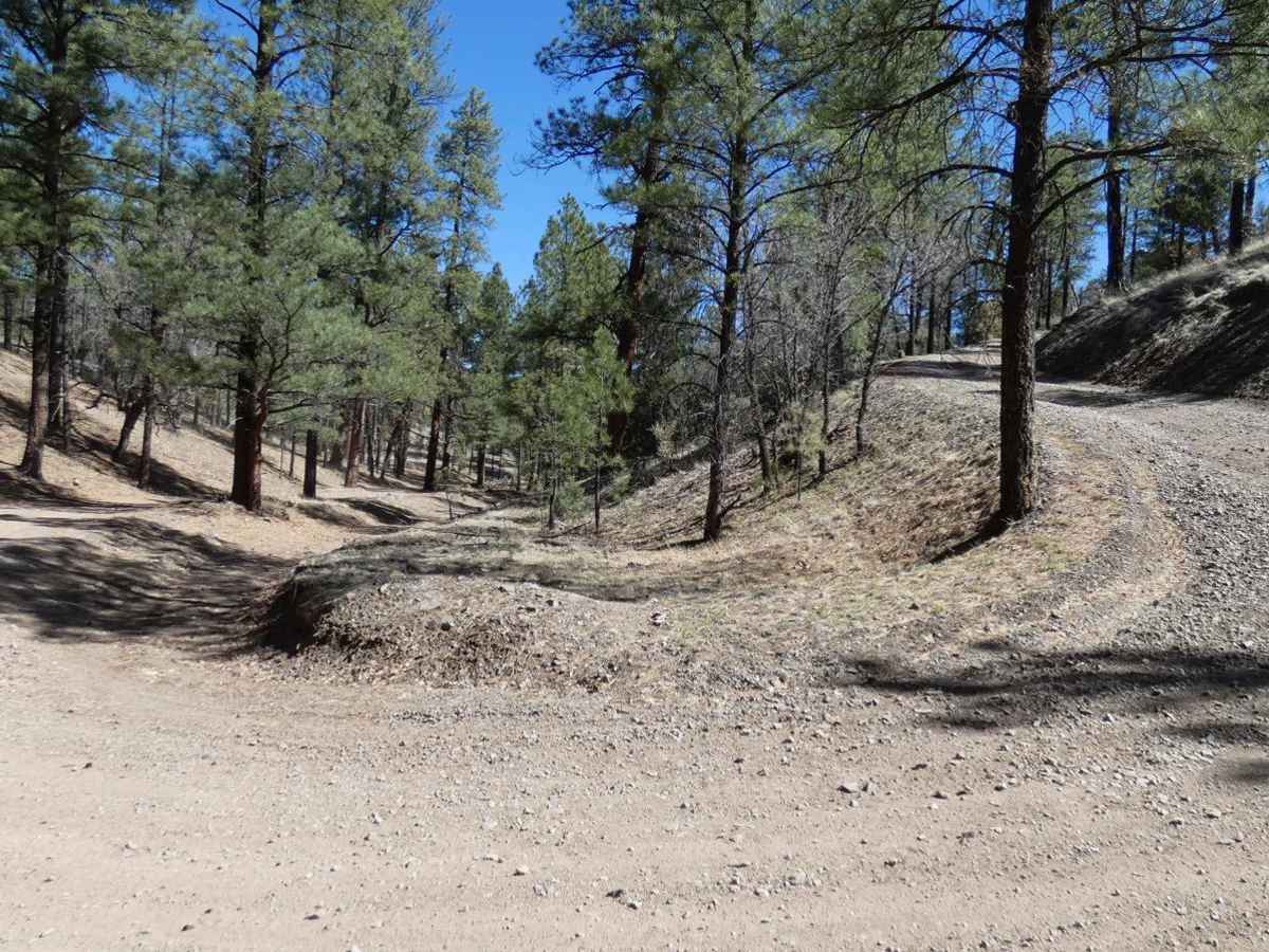 Frank's Ranch Road photo 6