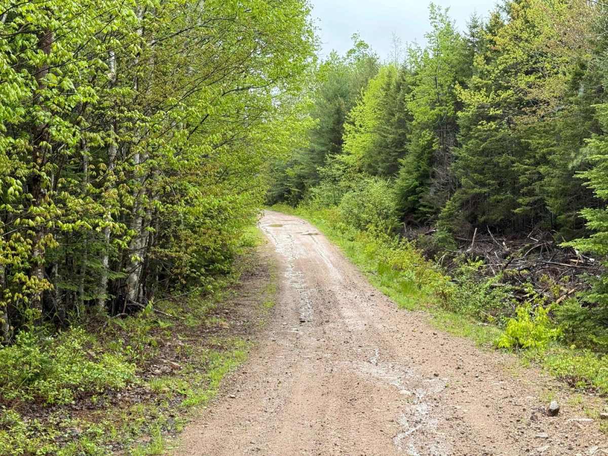 Granite Lane Trail photo 3