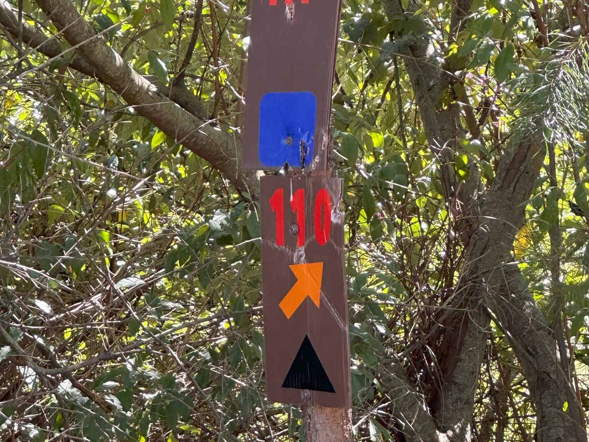 110 trail photo