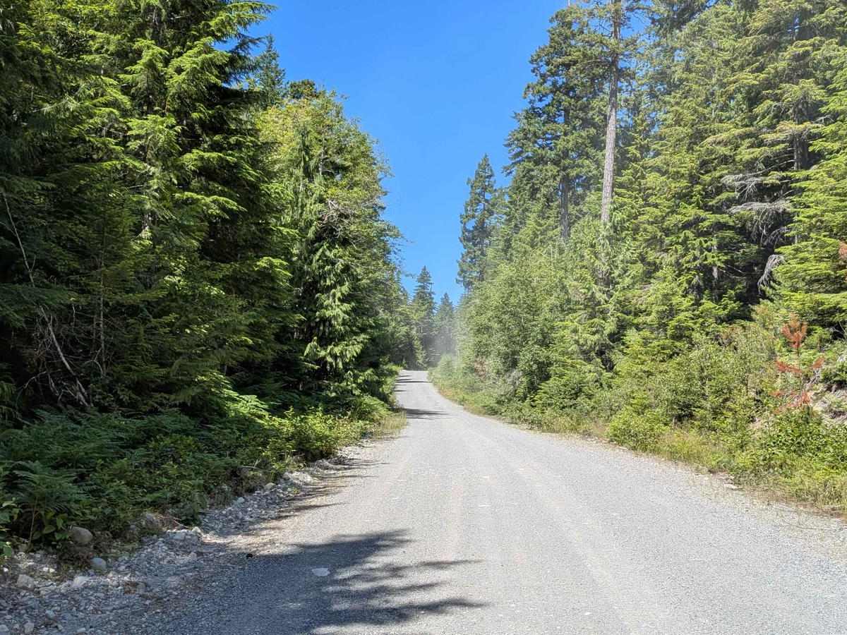 Rona Cutoff Road photo 5