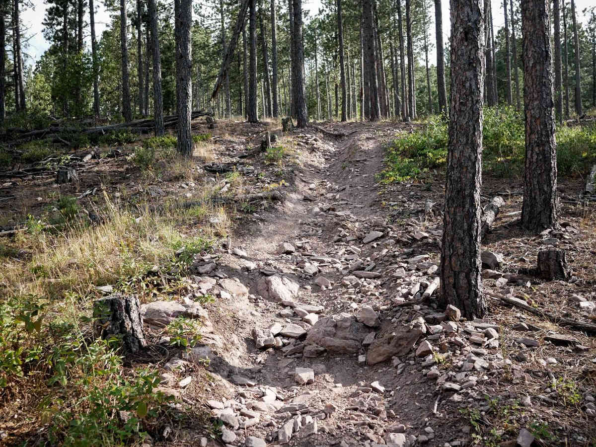 Nemo 8550 trail photo
