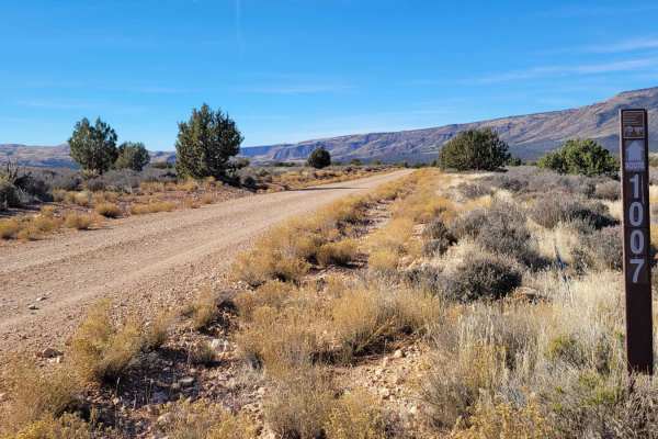 Black Canyon Road - BLM 1007