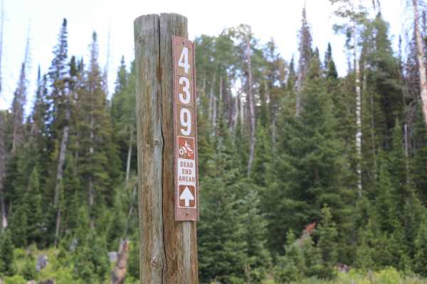 Buck Camp Hollow - FS 70439
