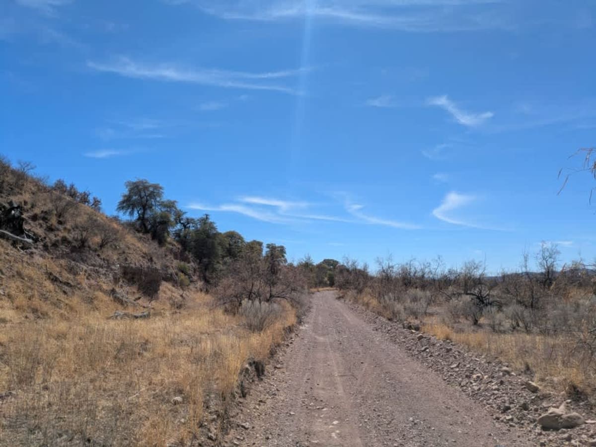 Parker Road photo 5