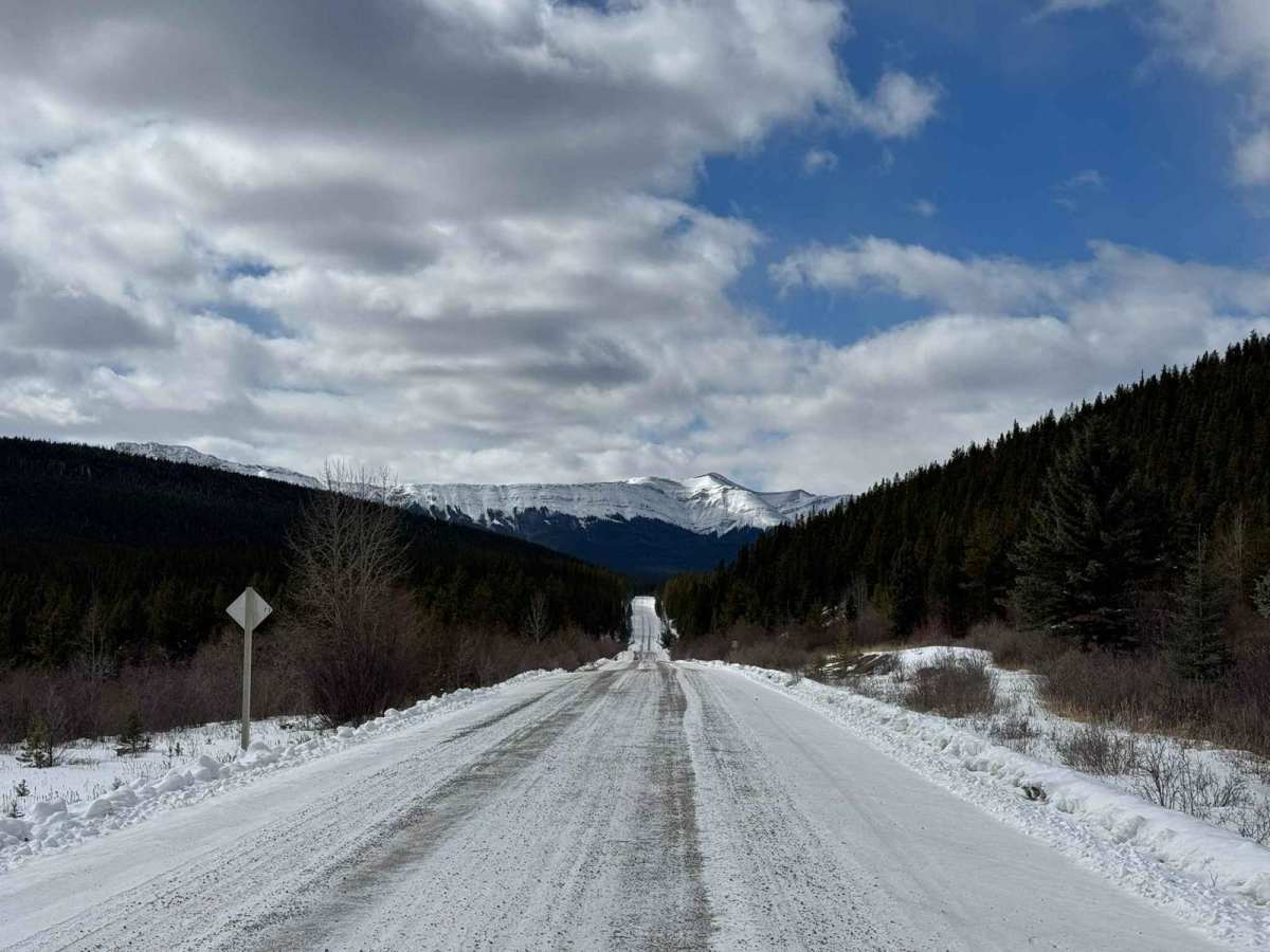 North-Central Forestry Trunk Road photo 5