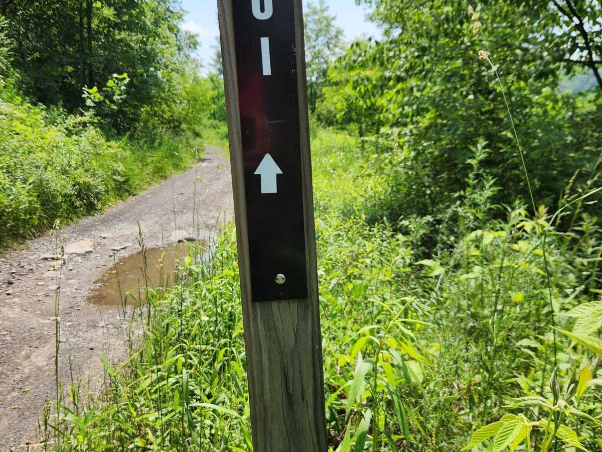 Trail 6I - Rock Run Recreation Area trail photo