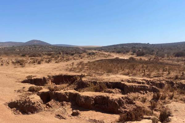 East of San Quintin