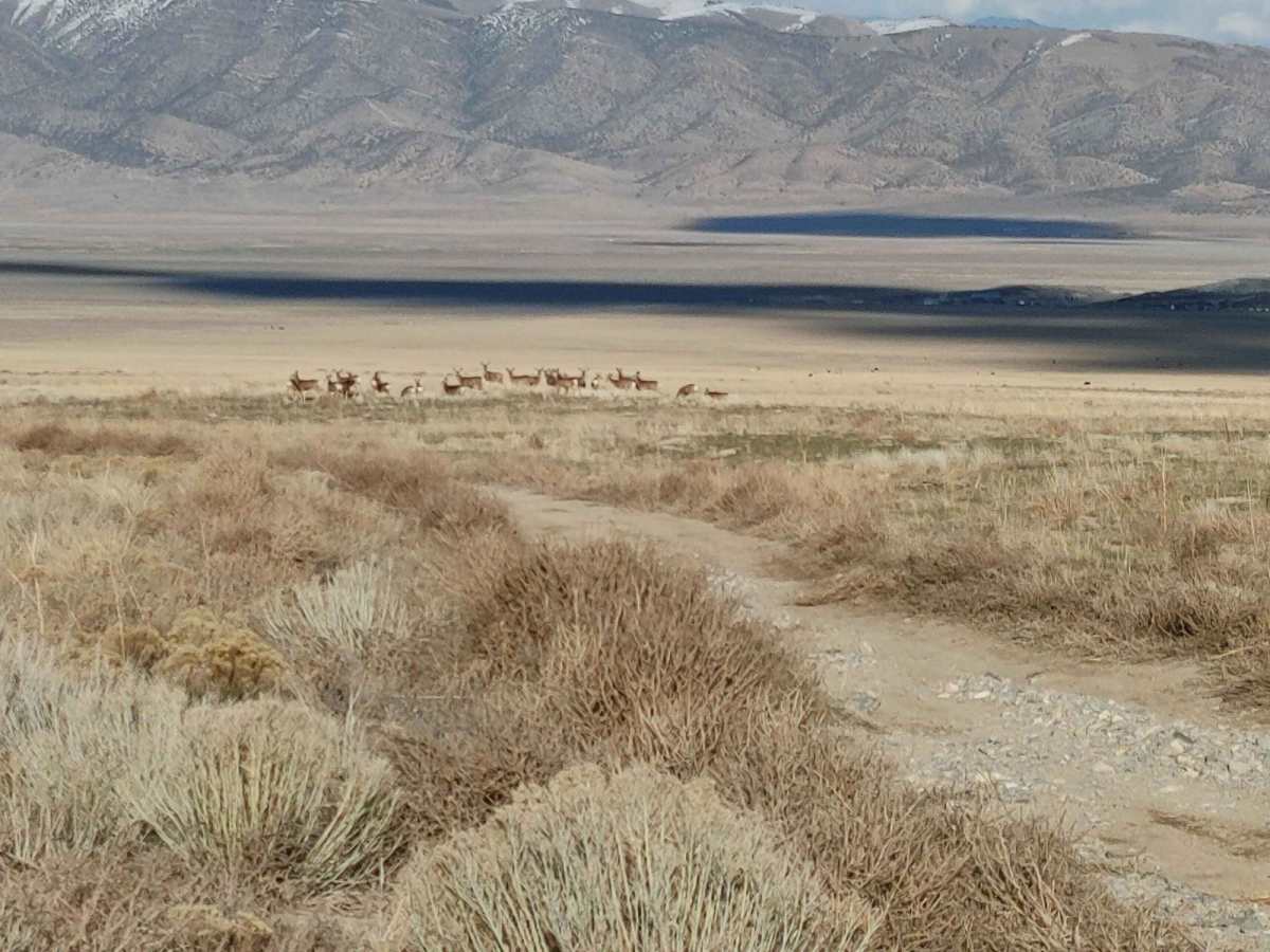 7 Mile Pass Exit trail photo