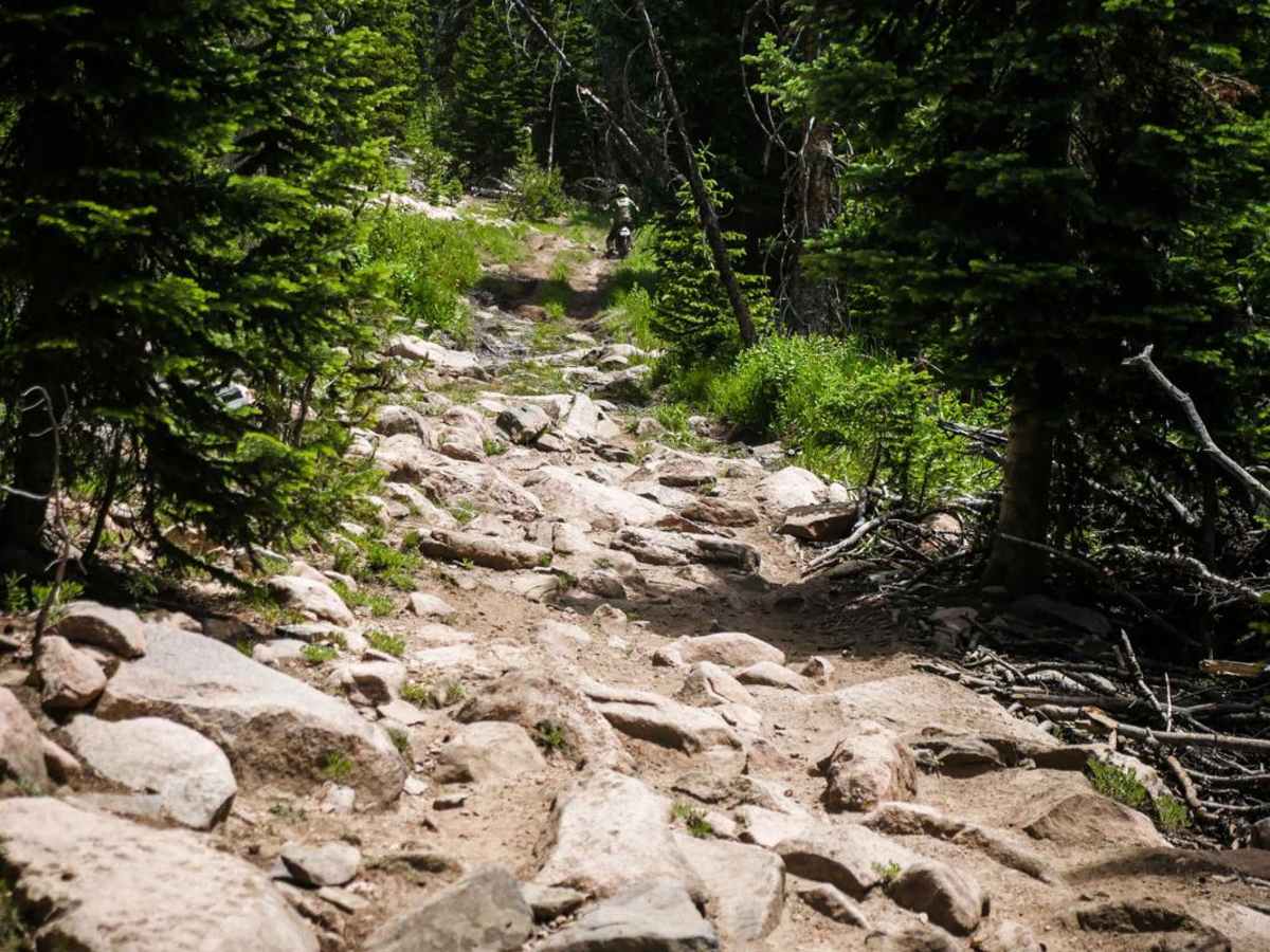 Wyoming ATV Trail trail photo