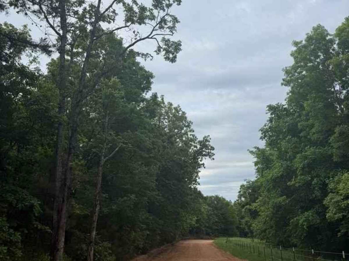 Main Access Road photo 3