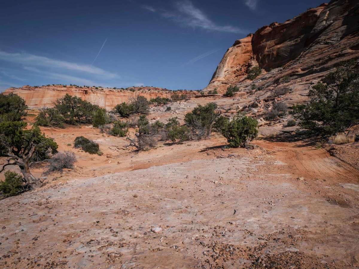 Judd Hollow Spring trail photo