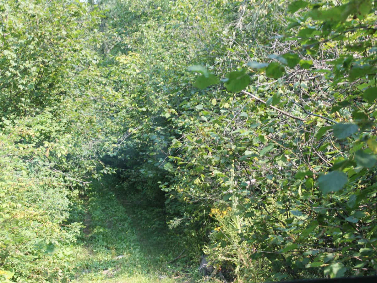 Al Donaldson Trail photo 2