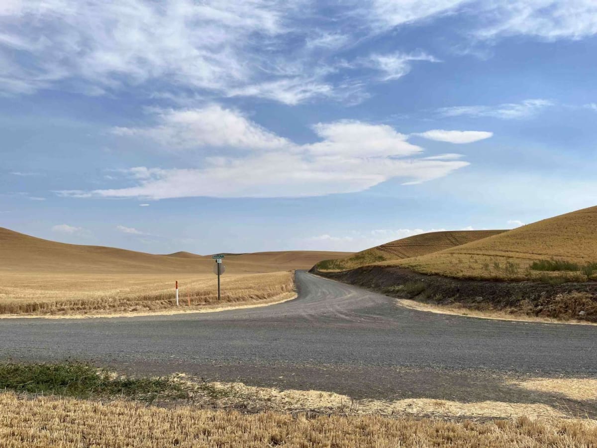 Steptoe Canyon Road photo 5