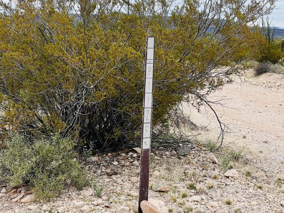 Old Car Camp Ajo photo 3