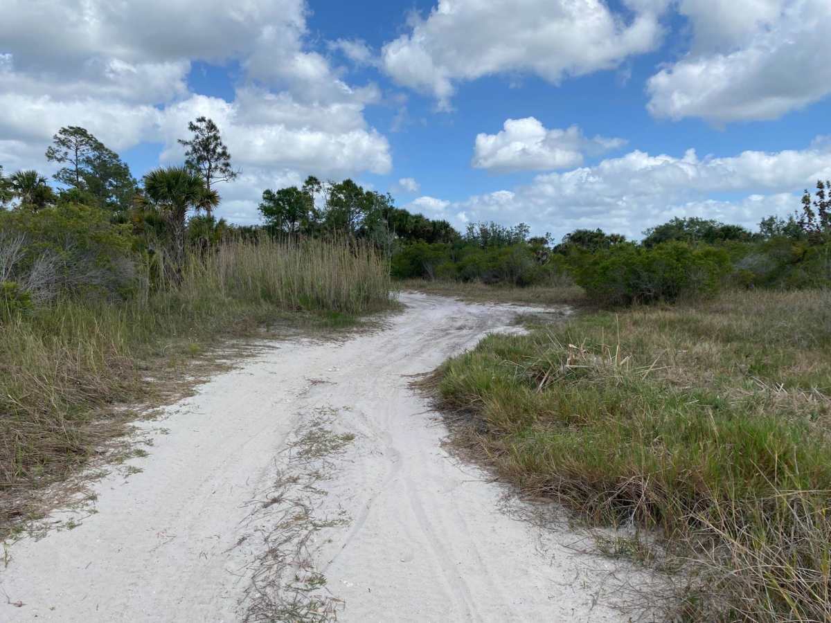 Harold Strand trail photo