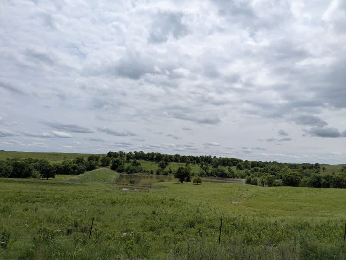 Crisco Road photo 2