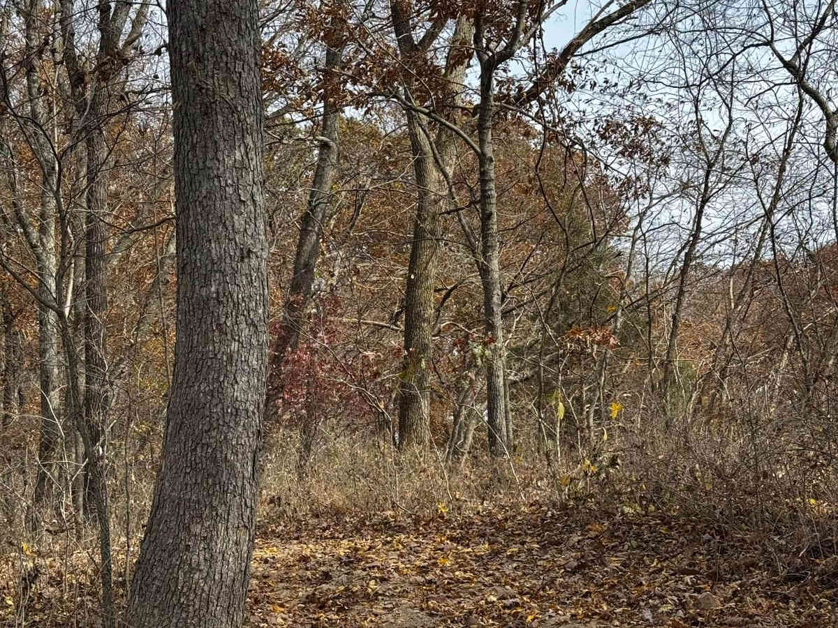 Bounty Hill Access trail photo