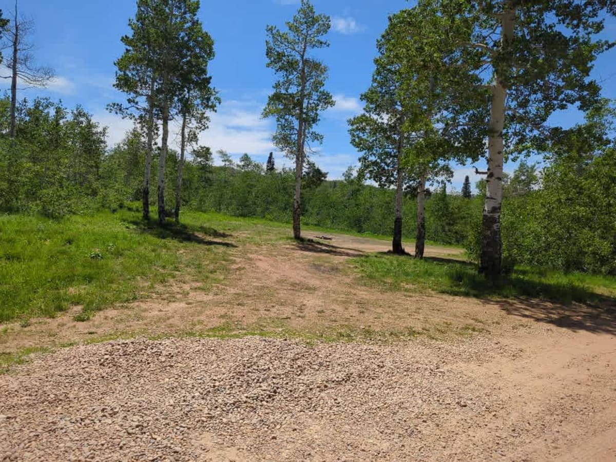 Dry Bread Camp Area - FS 20116 photo 3