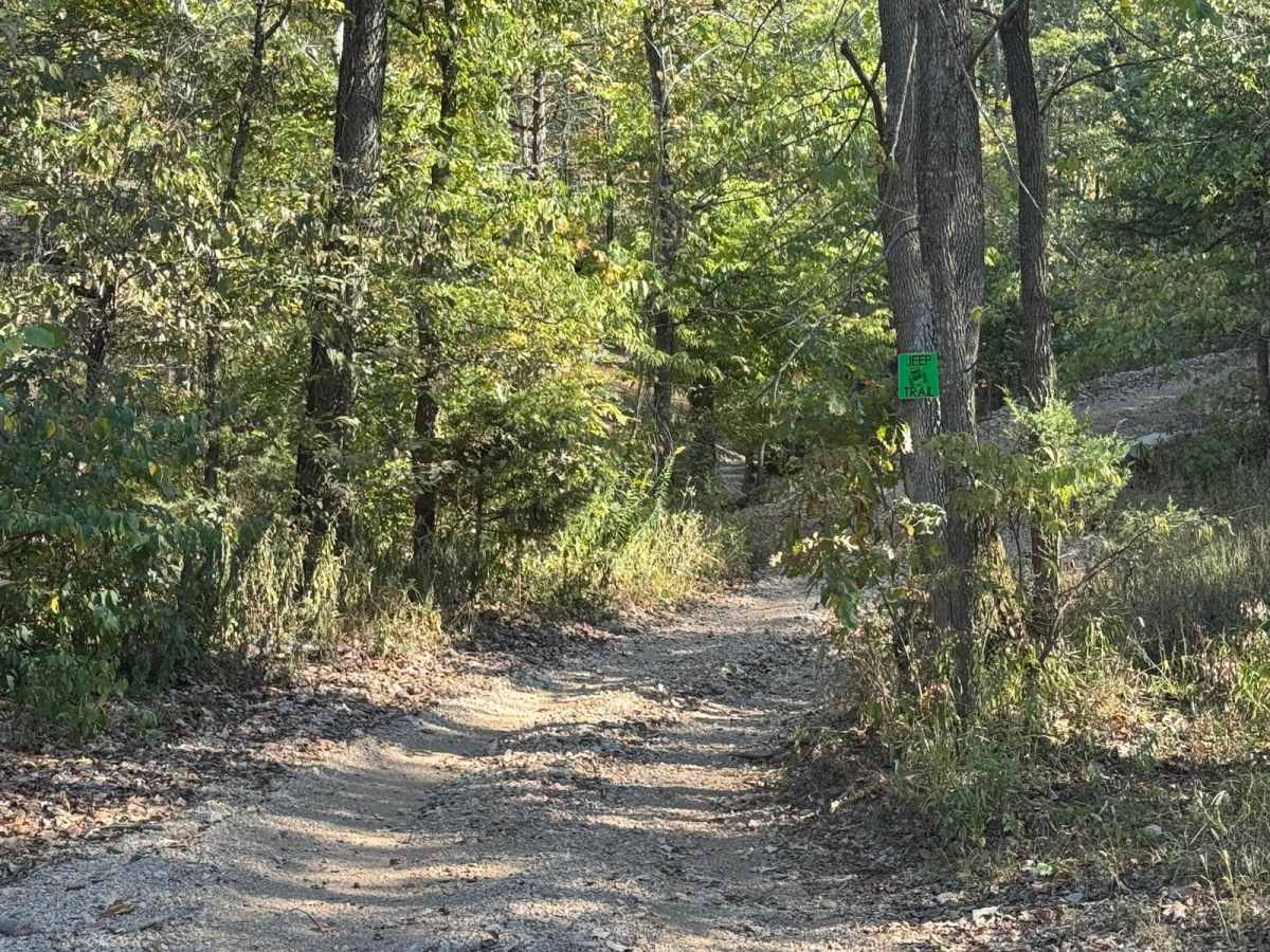 Green 4 trail photo
