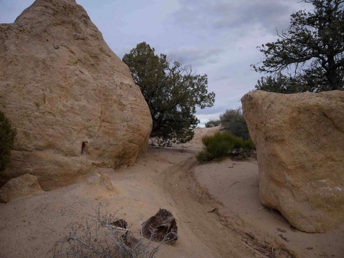 Rhinos Ridge trail photo