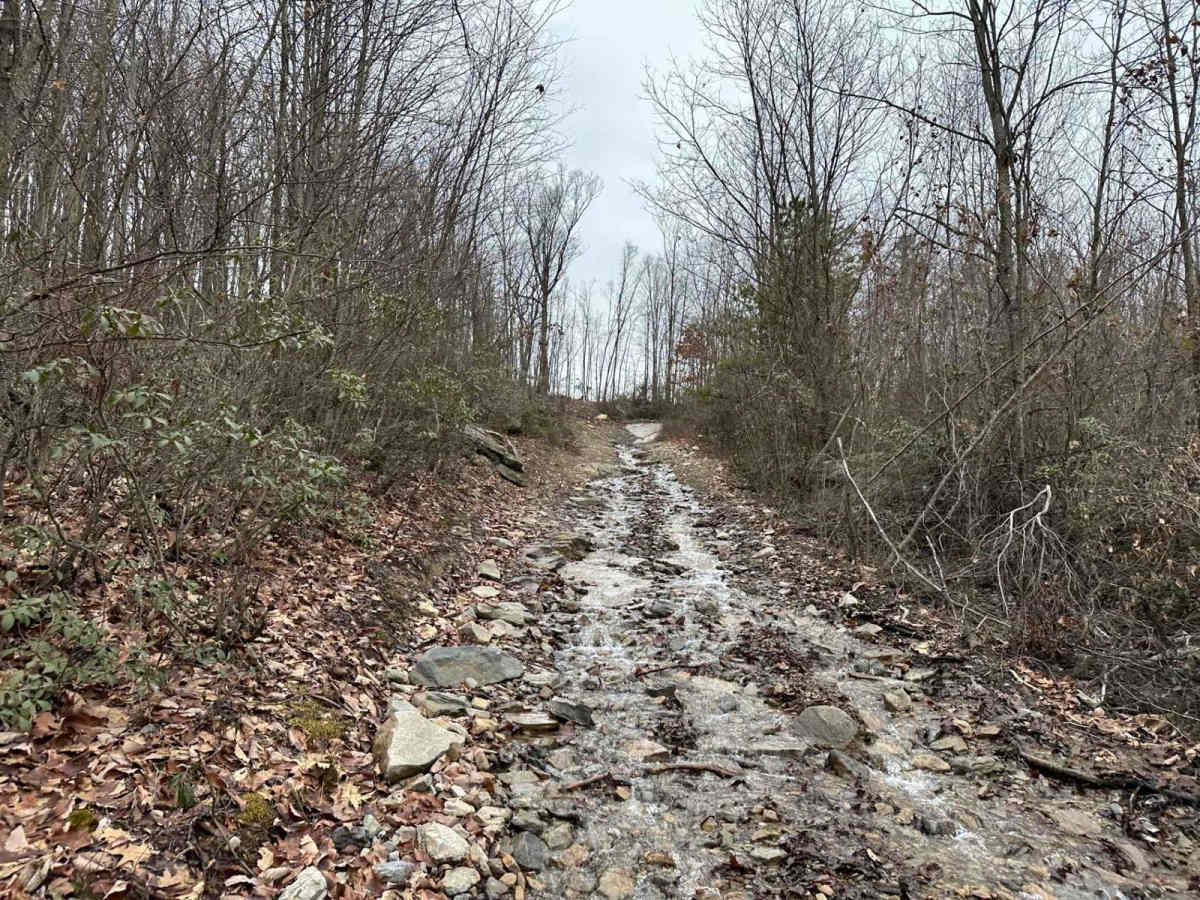 Road to Paradise photo 6
