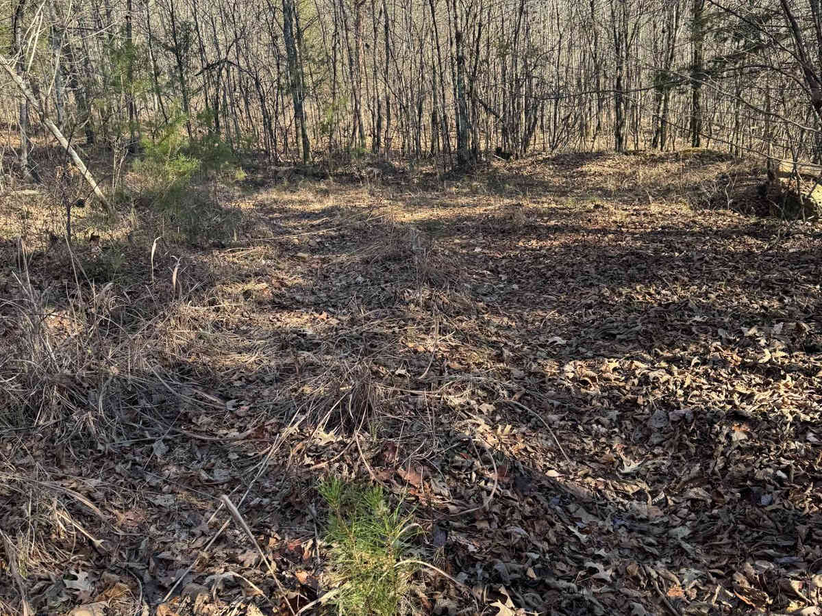#59 Belt Line photo 3