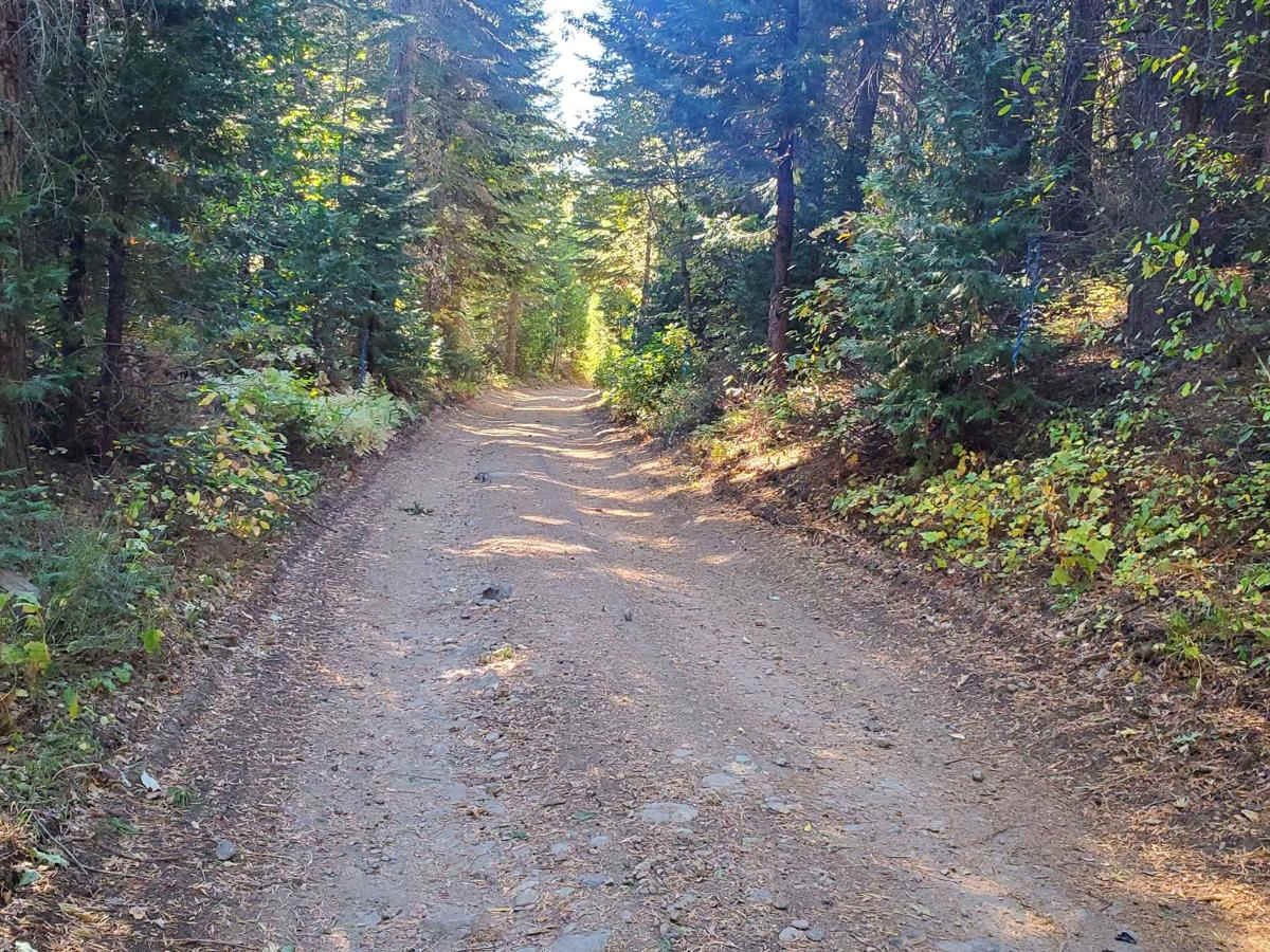 Fulda Ridge -FS19-028 photo 5