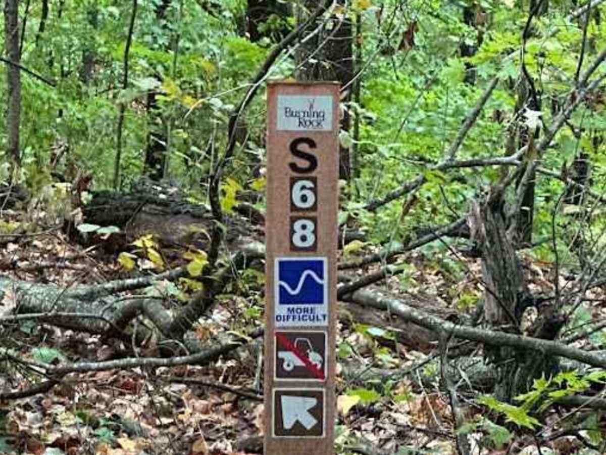 68 Black trail photo