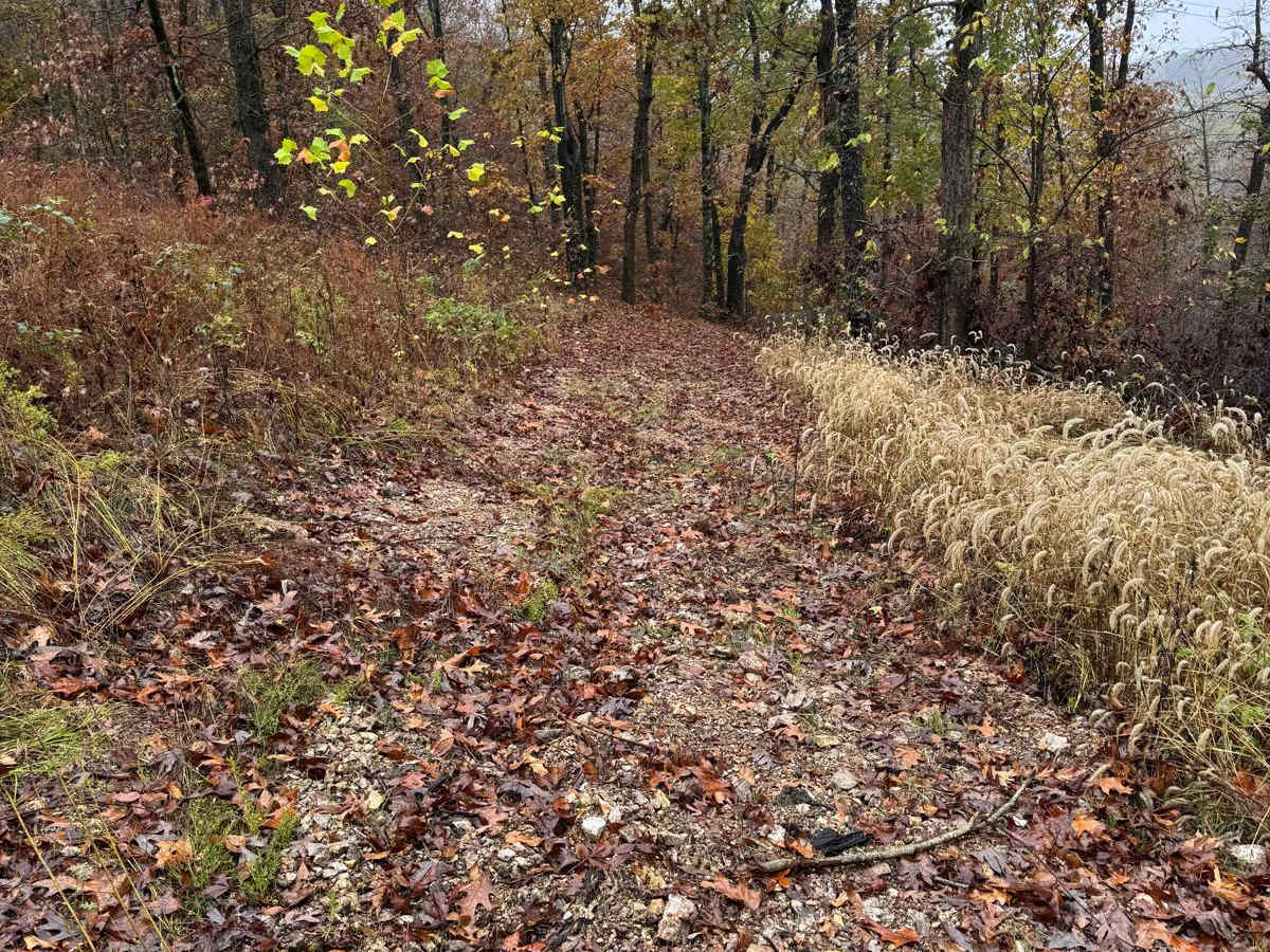 Yellow 98 trail photo