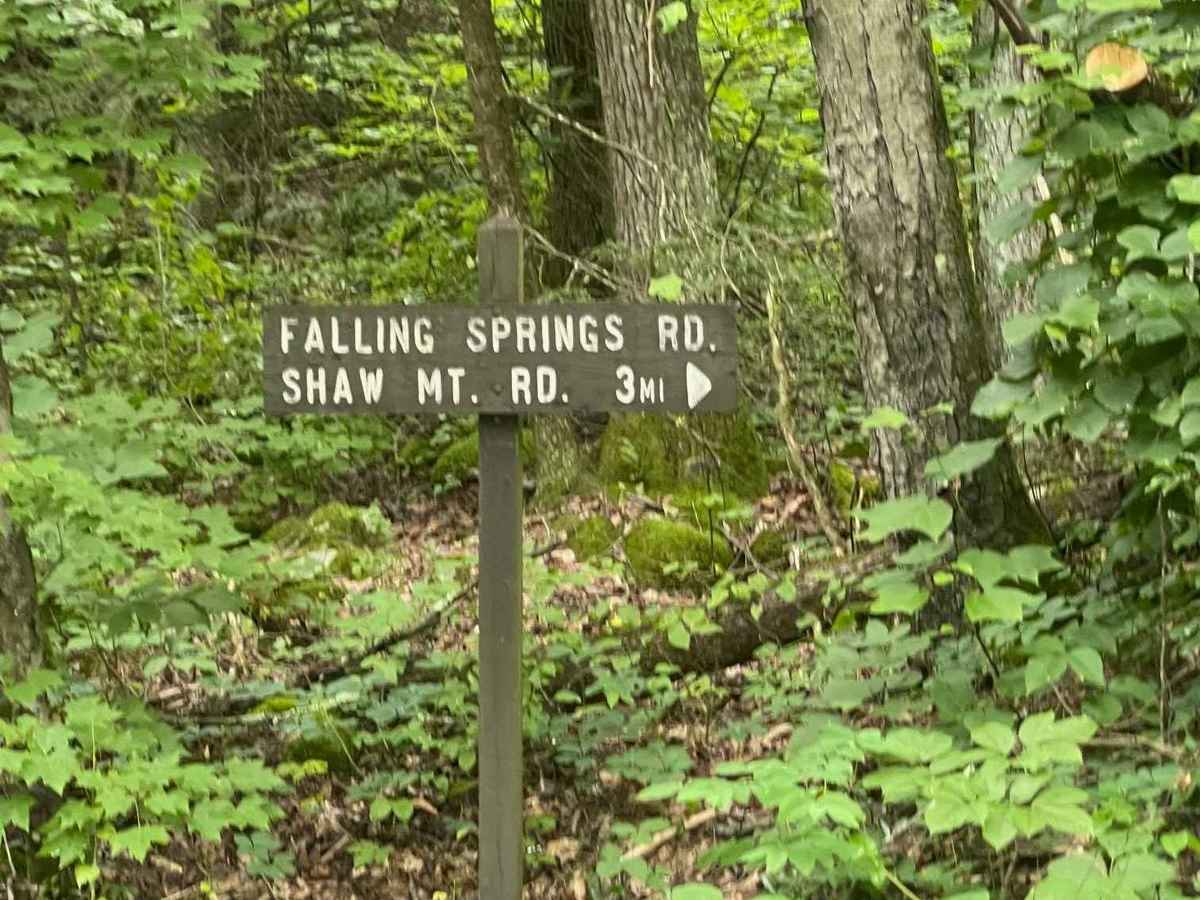 Falling Spring Road photo 5