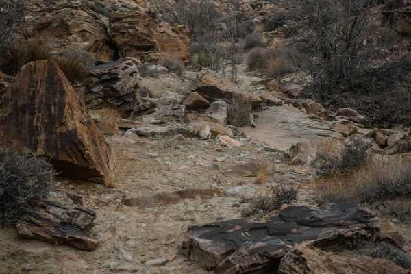 Cedar Mountain Canyon