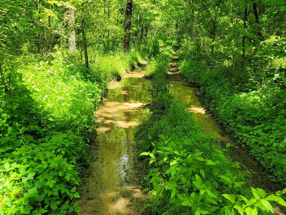 Puddle Place Loop photo 4