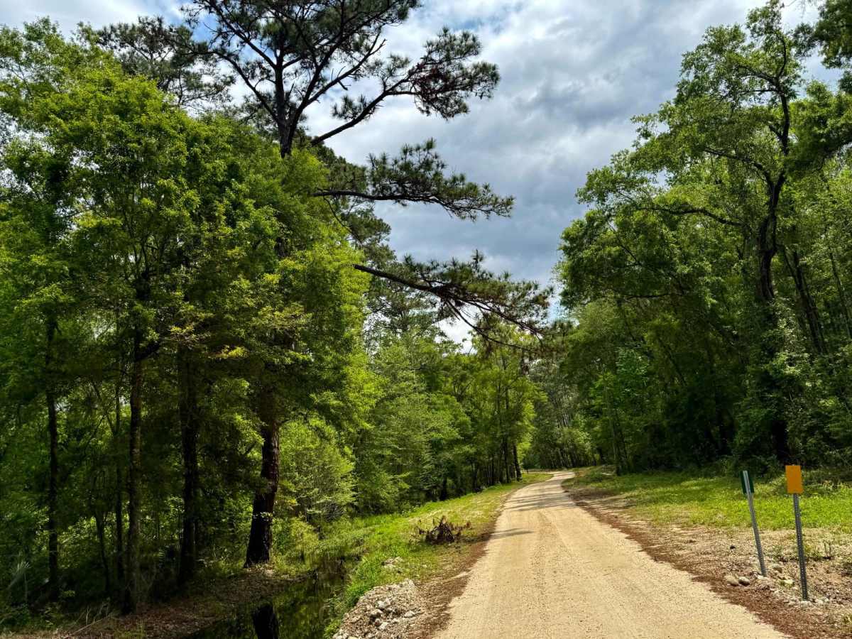 Bloody Bluff Road photo 5