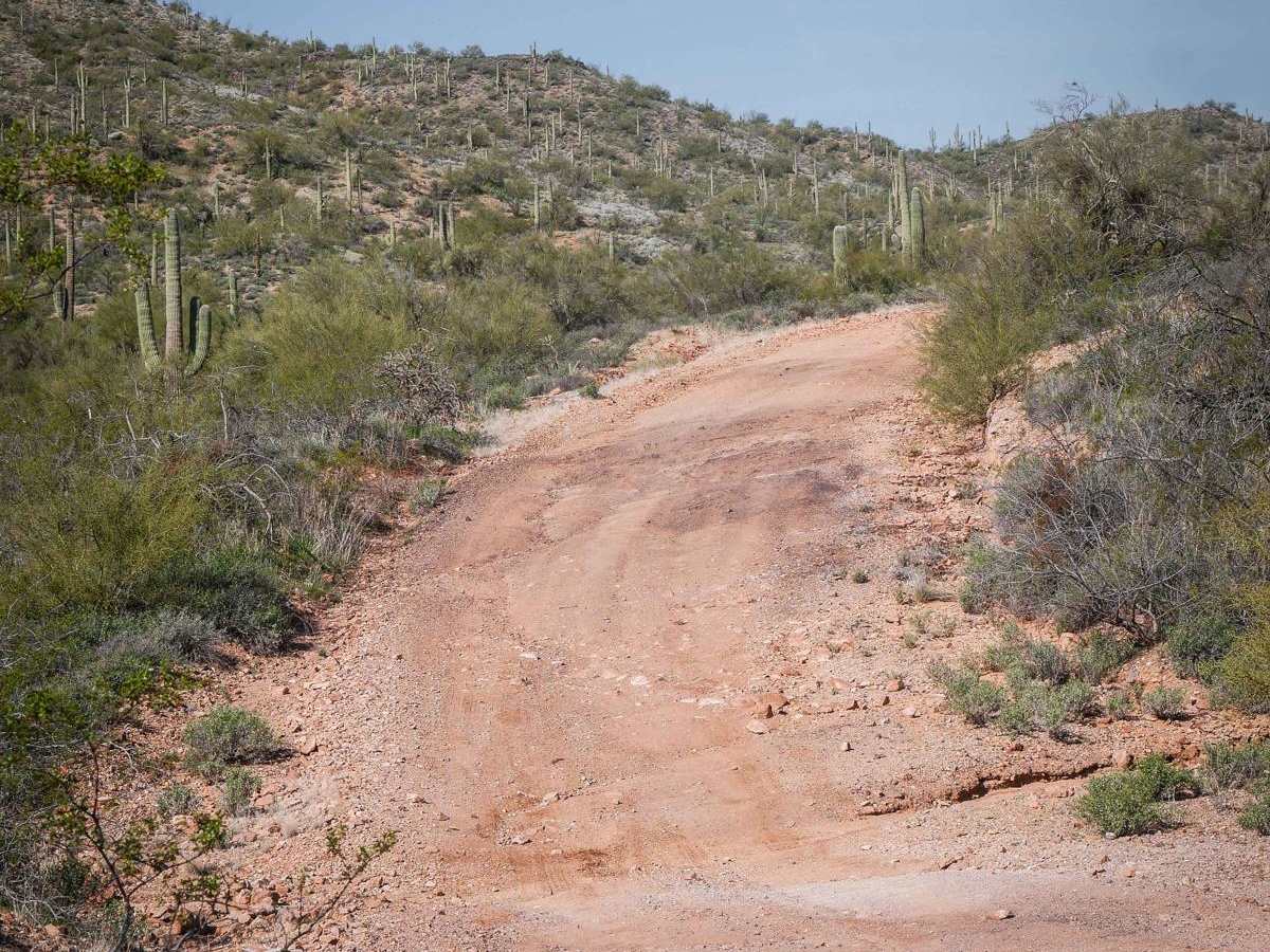 North Vulture Peak Road photo 4