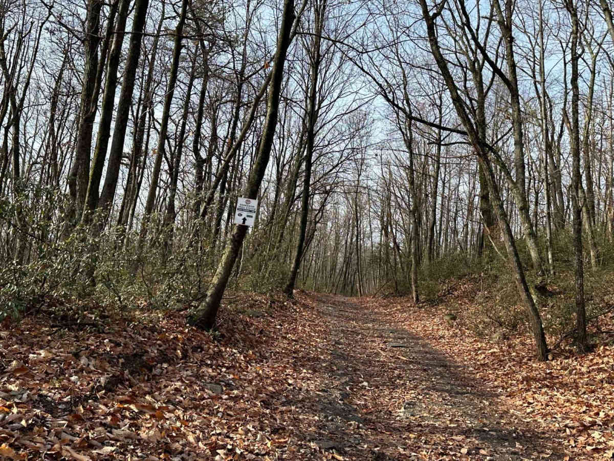 Darkwater 39 trail photo