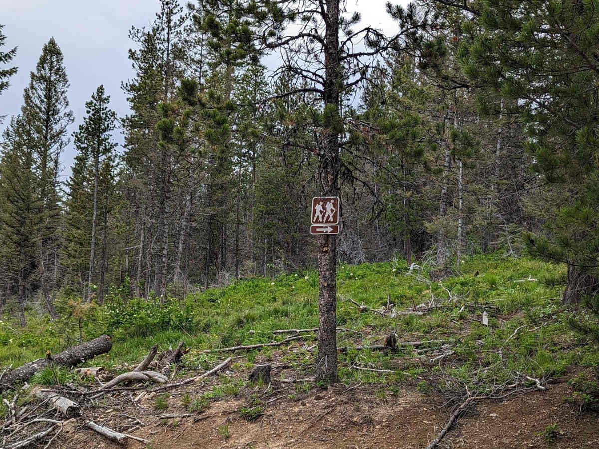 East Twin Creek Road 2117 (To Sheep Mountain hiking Trailhead) photo 6