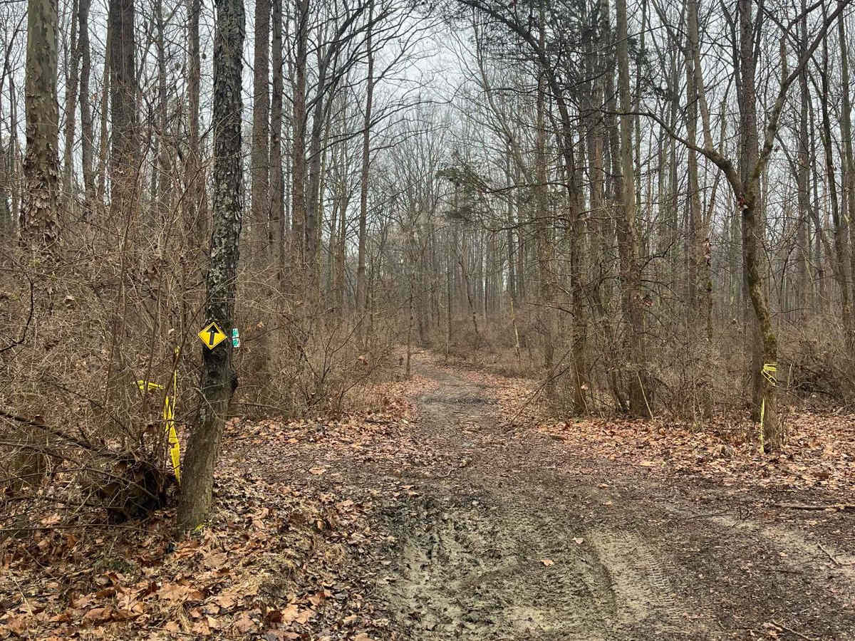 Family Trail photo 2