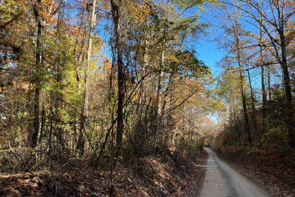 Beulah Road - FS 202