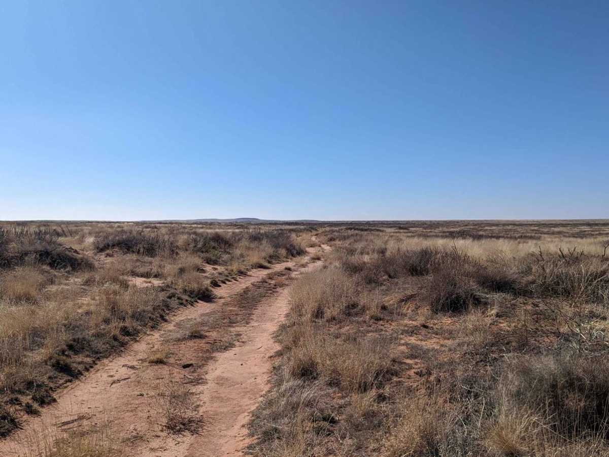 Billy the Kid Loop photo 6