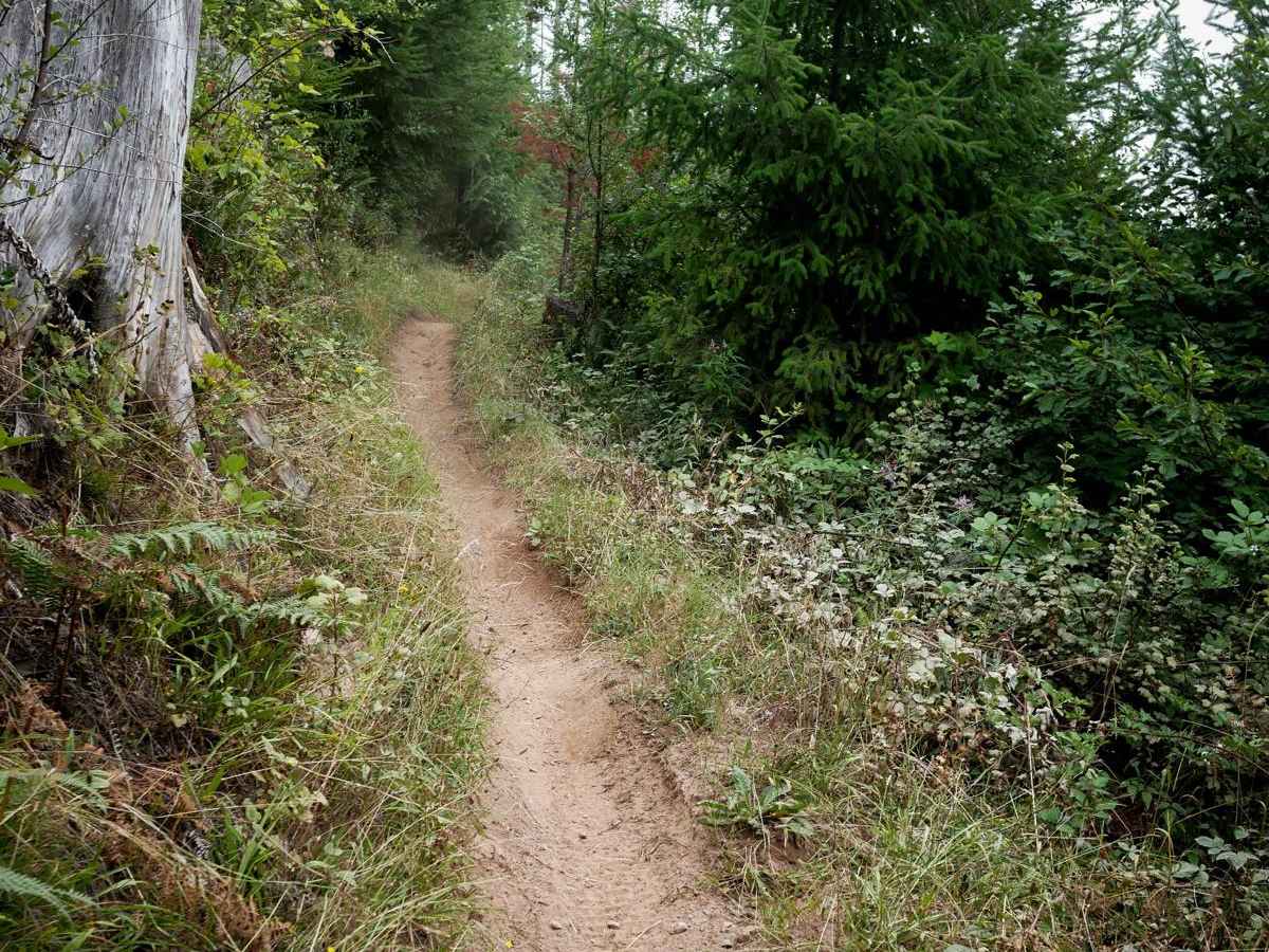 Webfoot photo 5
