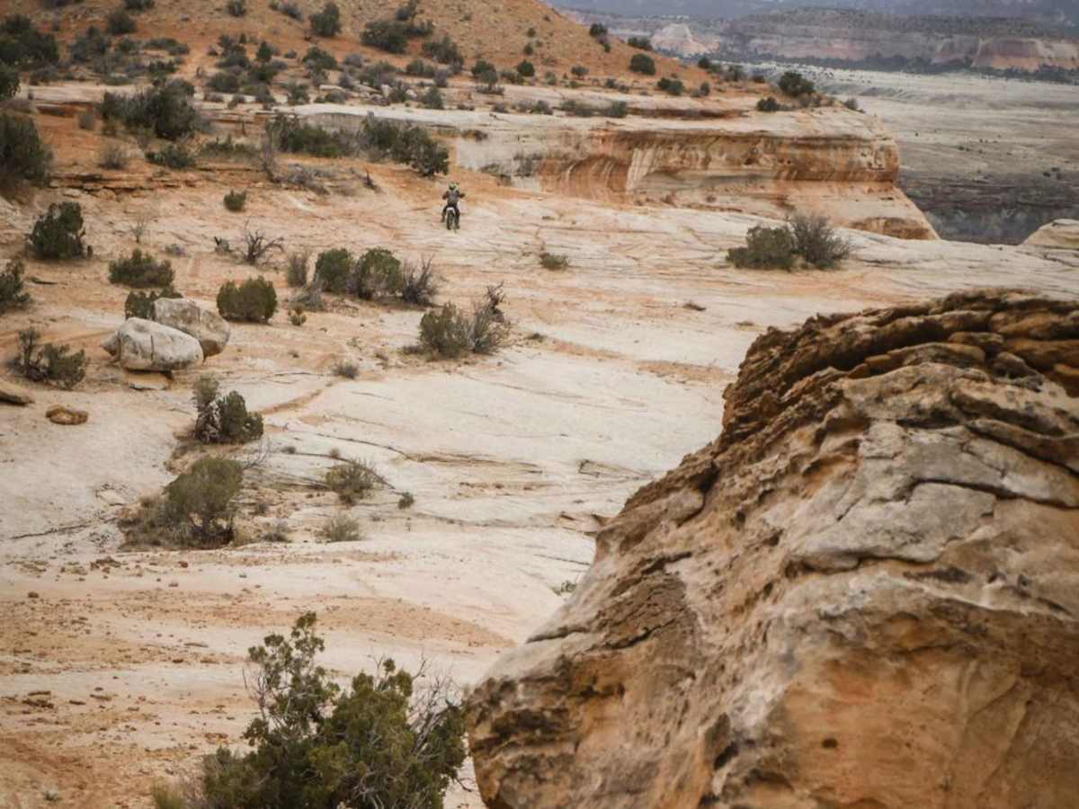 Western Rim photo 5