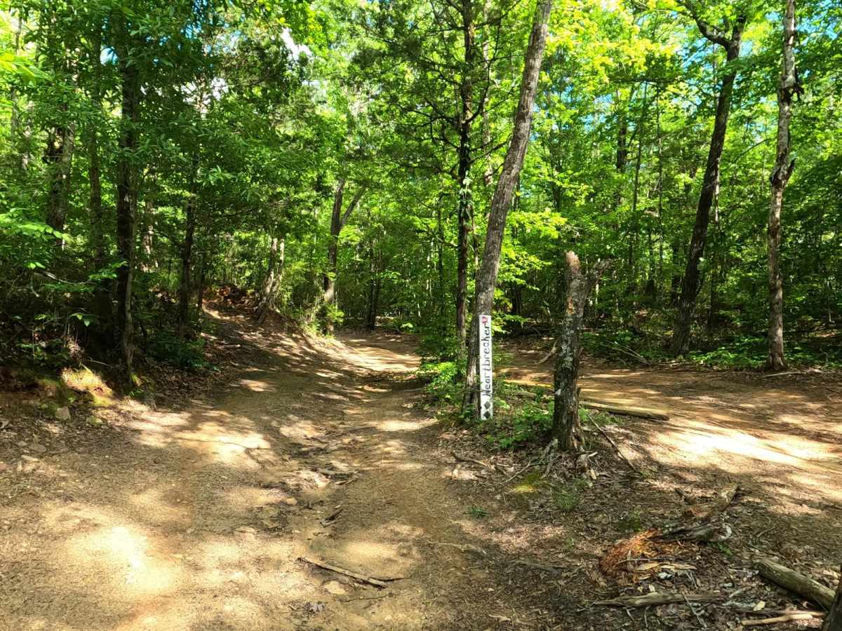Lower Heartbreaker trail photo