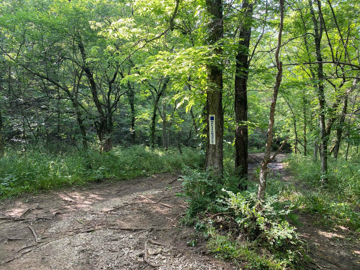 Deliverance trail photo