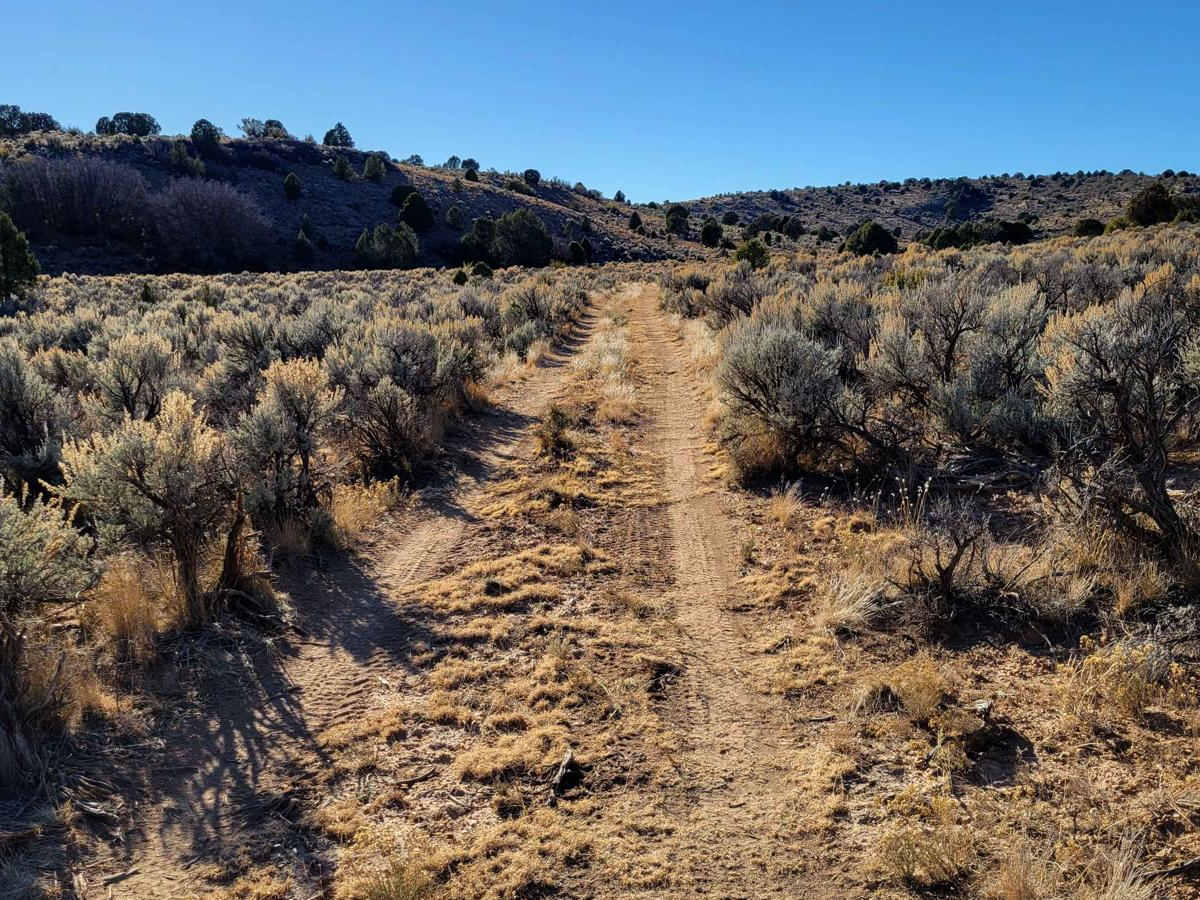 BLM 1649 photo 2