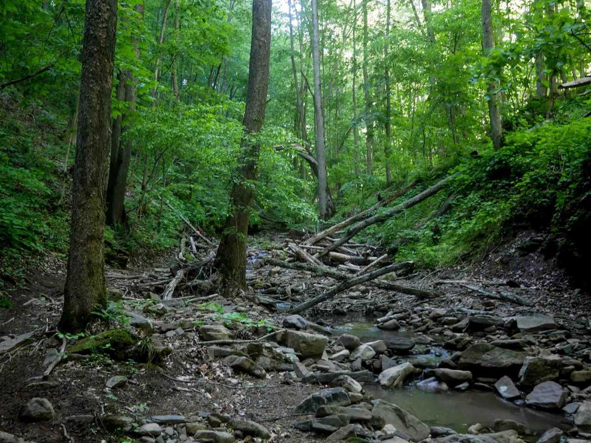 Waterfall Trail photo 6
