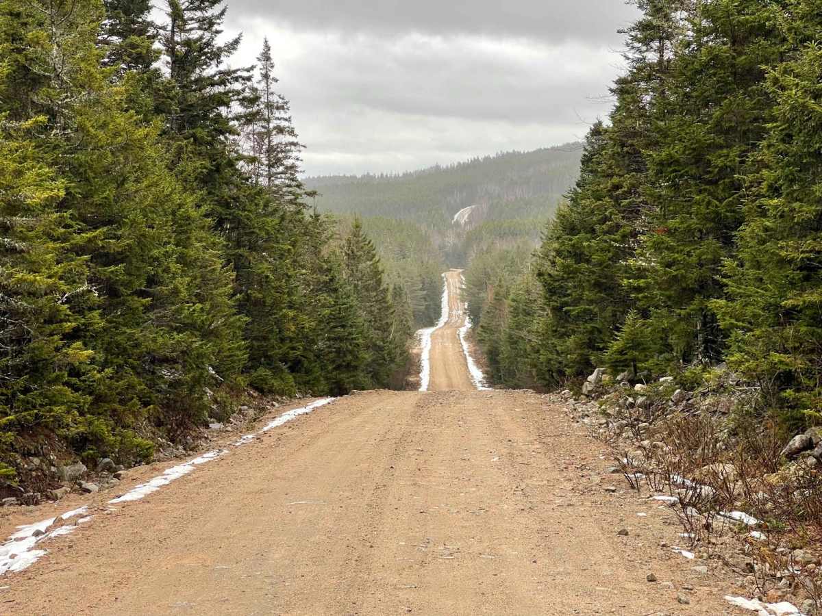 Two Mile Lake Road trail photo