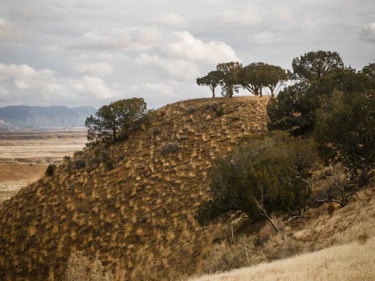 Trails 135 and 136 photo 3
